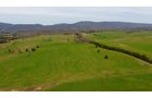 Property photo 3 - LAND AUCTION - 533+/- ACRES OFFERED IN 5 TRACTS IN HARDY COUNTY, WEST VIRGINIA